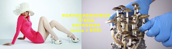 прущий лед Липки