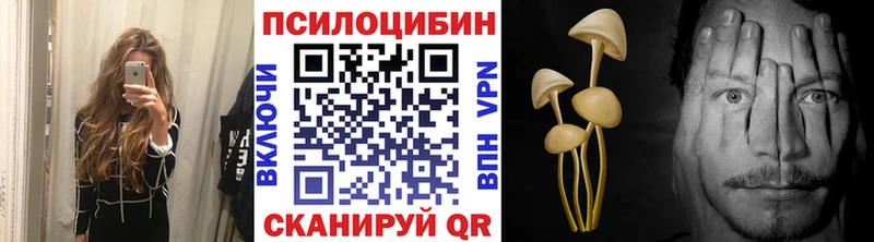 Галлюциногенные грибы прущие грибы  Павловск 